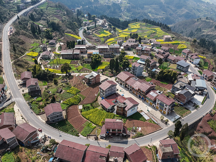 《金色田野》组照二 谭昌藩 摄于巫山福田镇跑马村《金色田野》组照一