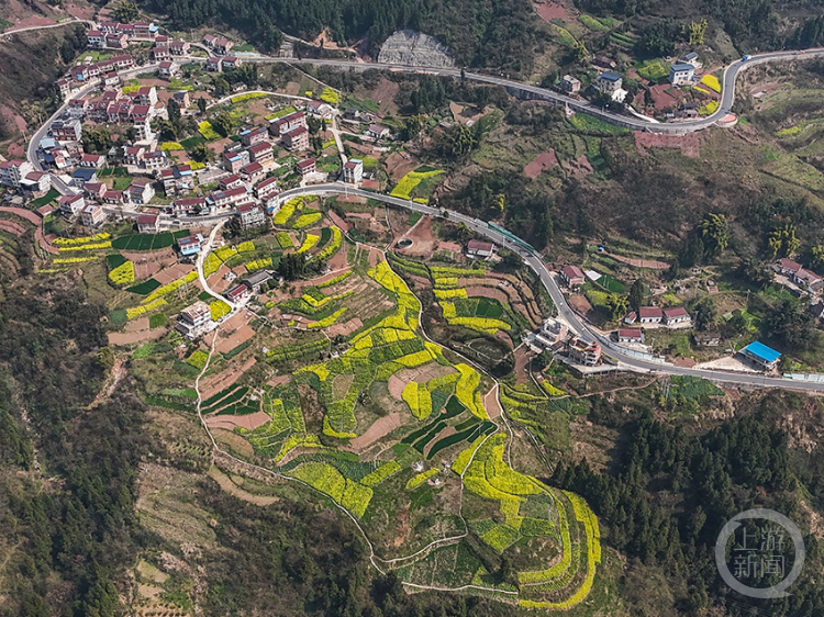 《金色田野》组照三 谭昌藩 摄于巫山福田镇跑马村《金色田野》组照二