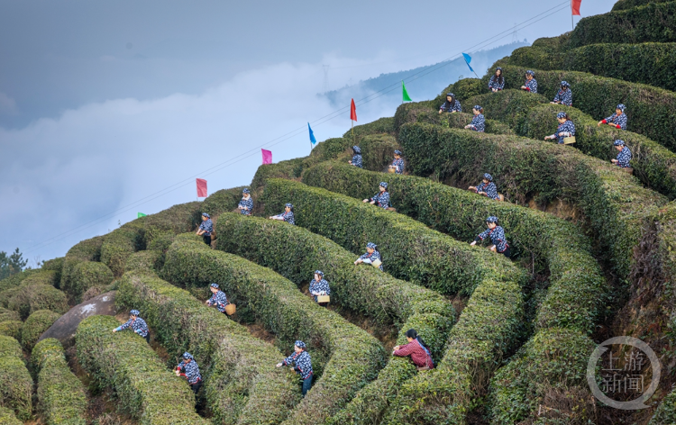 《采茶欢歌》组照一 梁国华 摄于云阳县黄石镇《采茶欢歌》组照二 梁