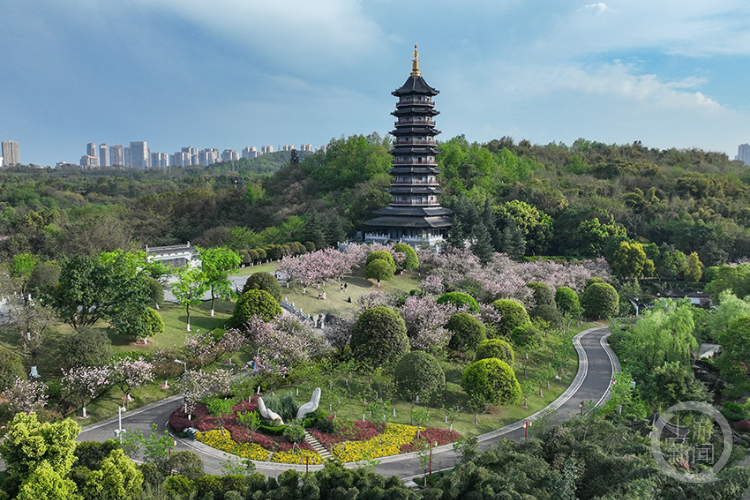 重庆最大的生态园图片