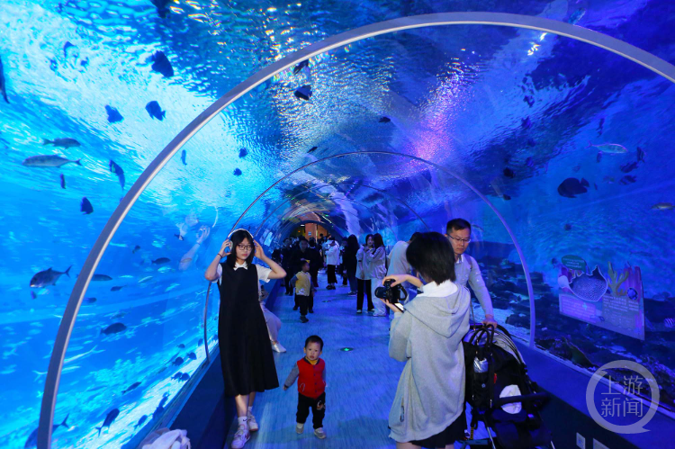游客在观赏奇幻的海底世界游客在巨型花束前拍照打卡