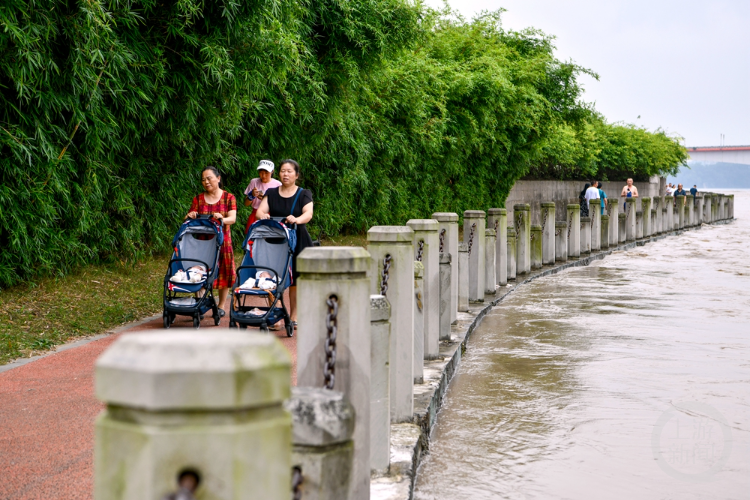 市民在外滩湿地公园江边观看洪峰过境