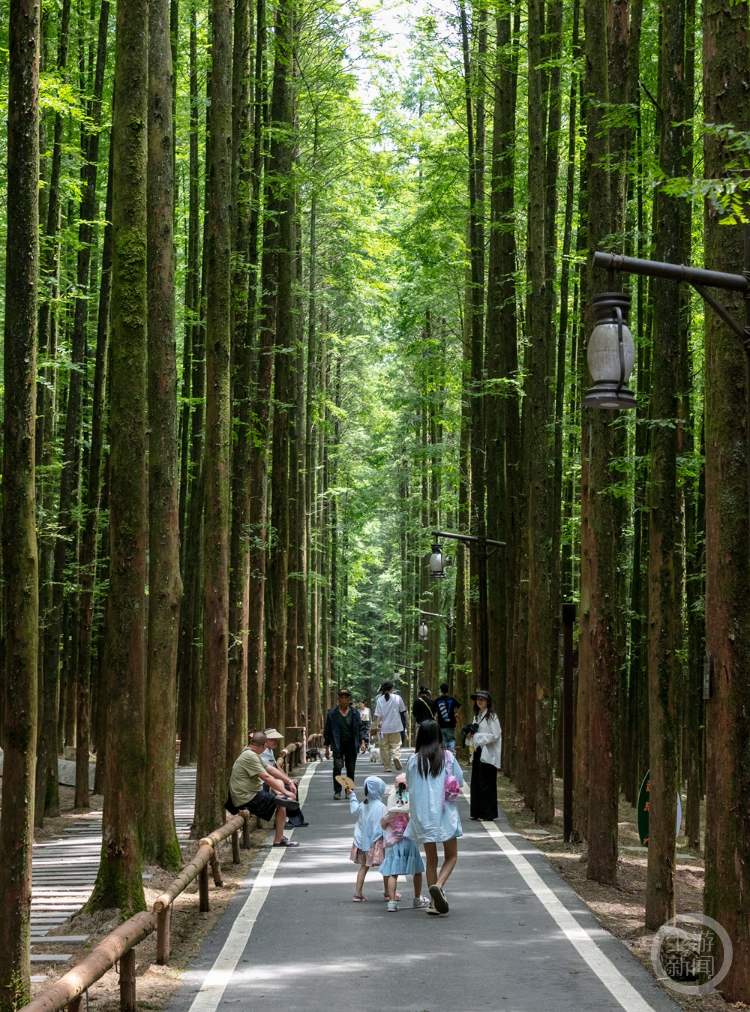 南川山王坪露营基地图片