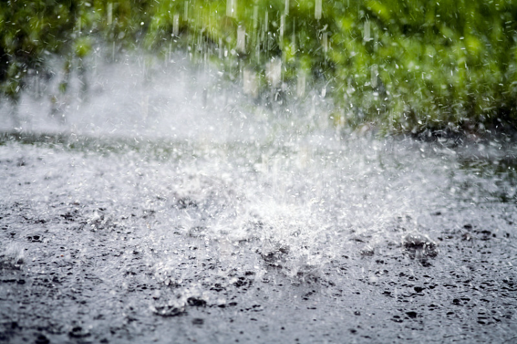 美文丨池莉:晤雨