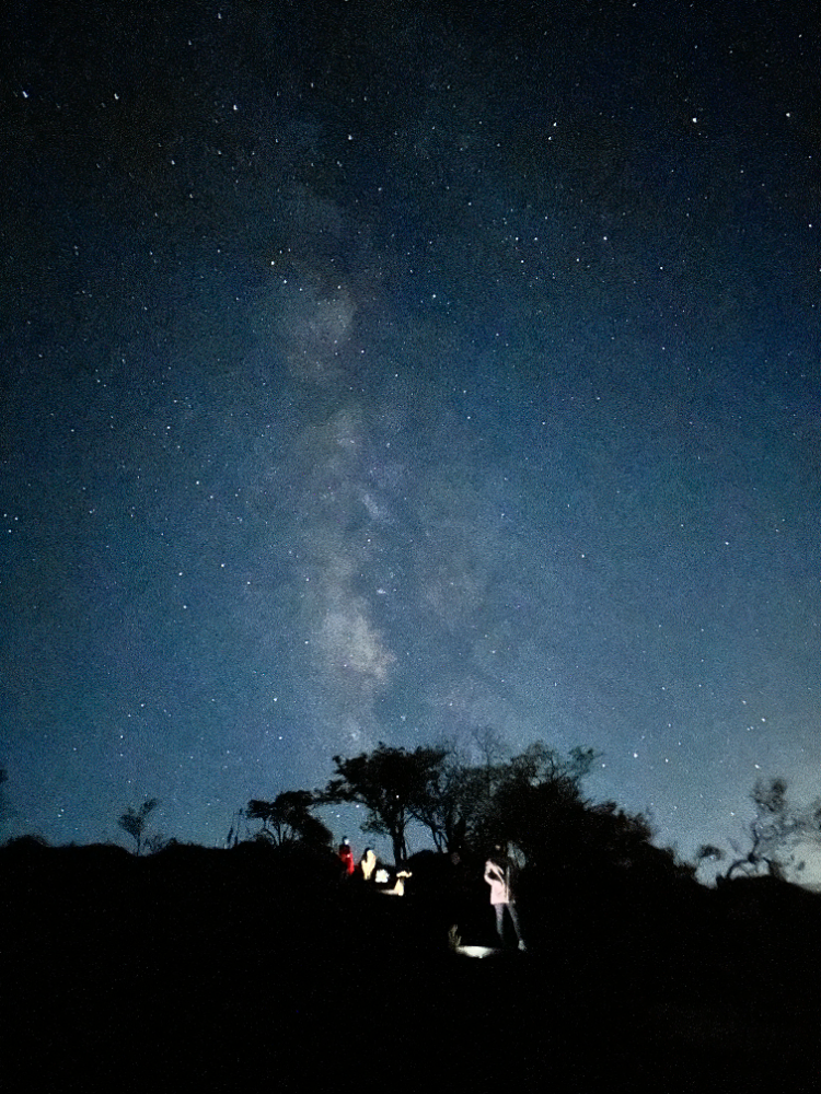 星河图仙仙图片