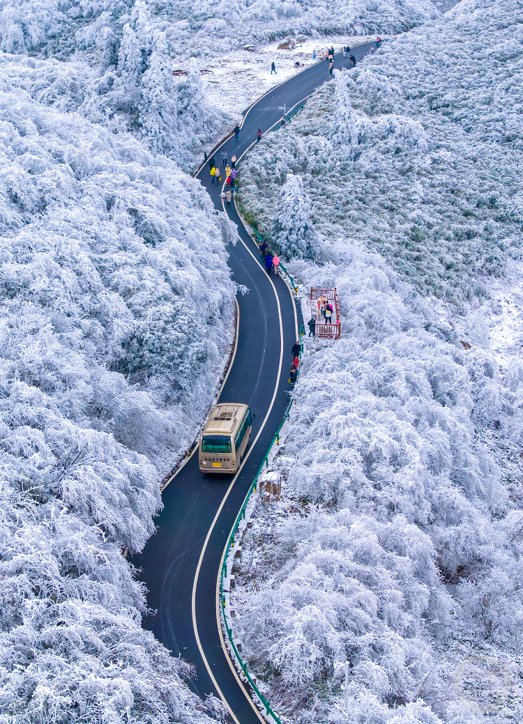 重庆金佛山下雪图片