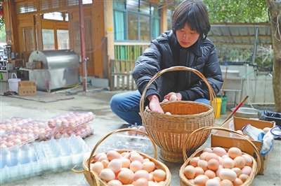 典範開辦農場逐夢田園