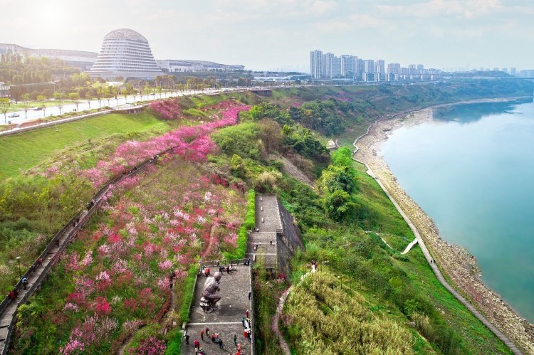 重庆两江新区加快推动三攻坚一盘活改革落地落实