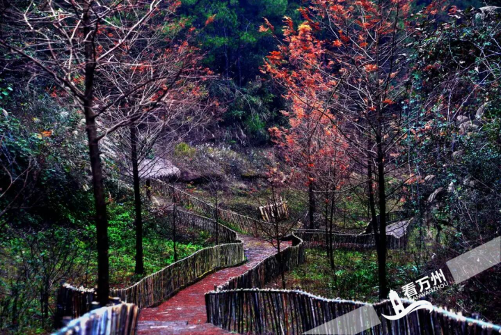 重庆万州区:环境整治"动"起来 村容村貌"靓"起来-上游新闻 汇聚向上的