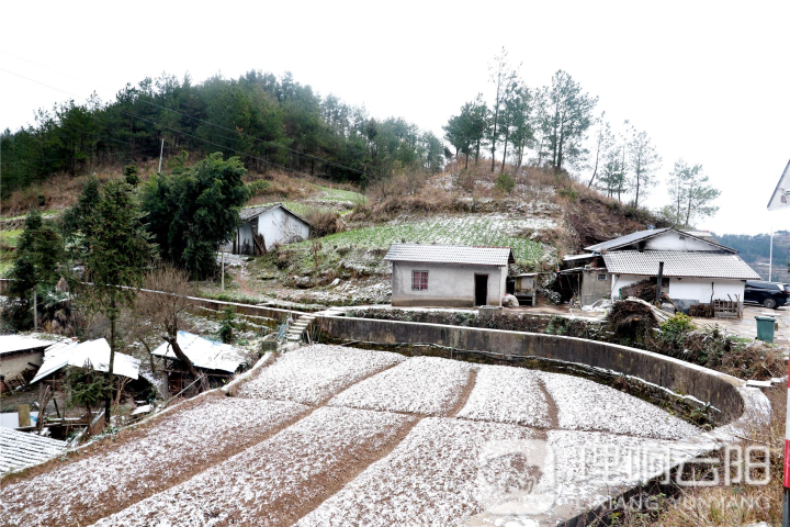 重庆云阳县农村图片