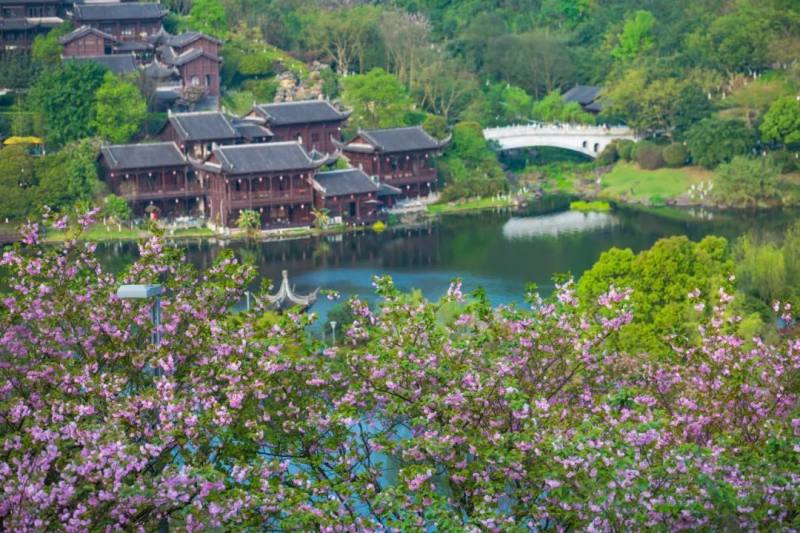 春游两江一站式吃喝玩乐享受惬意好时光