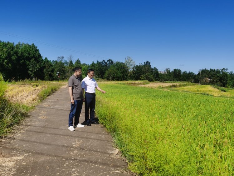 当好耕地监护人达州3958名田长共同守护耕基