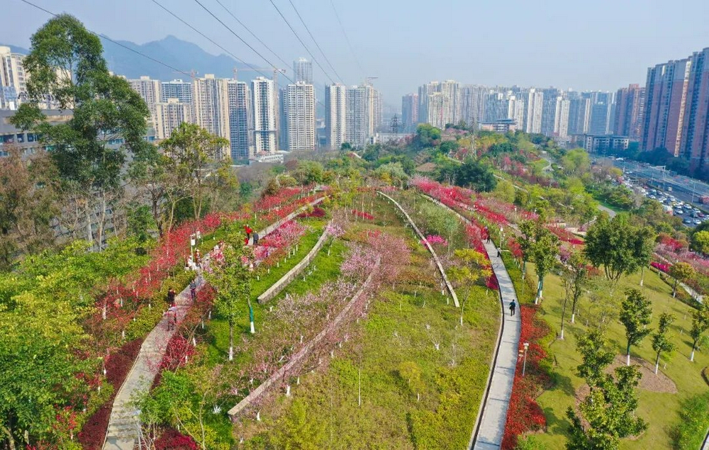 沙坪坝附近公园图片