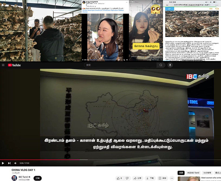 “漫步中国·河北行” 看外媒如何讲述中国式现代化的河北故事