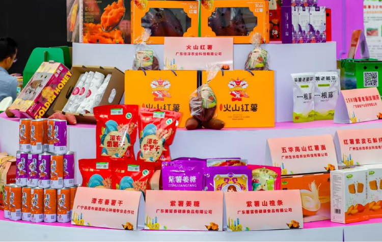 展览现场