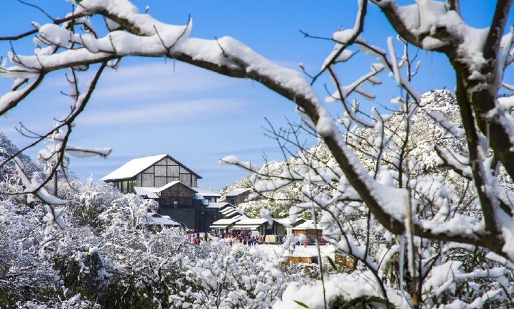 南川画中景。重庆市文化旅游委供图