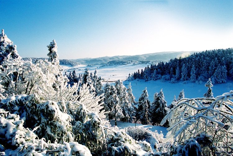 仙女山雪景。重庆市文化旅游委供图