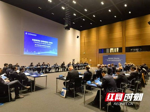 6.湖南-德国经贸合作交流座谈会.marked.jpg 6.湖南-德国经贸合作交流座谈会.marked.jpg