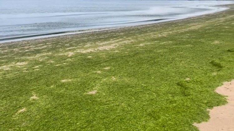 微信截图_20250701170921.png 微信截图_20250701170921.png