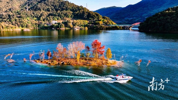 广州流溪河国家森林公园。