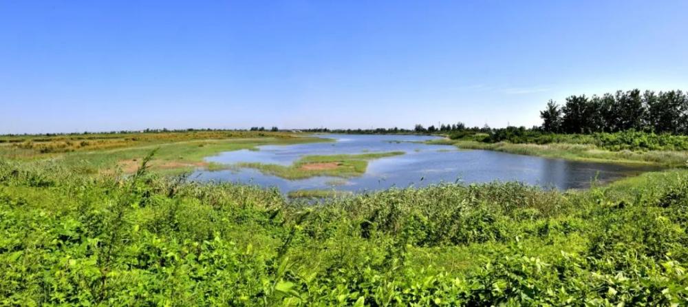 安徽阜阳颍泉区:坎河溜 泉水湾里好风光