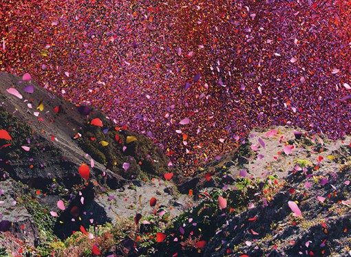 光明日报刊文:武汉保卫战,中国到底赢在哪里