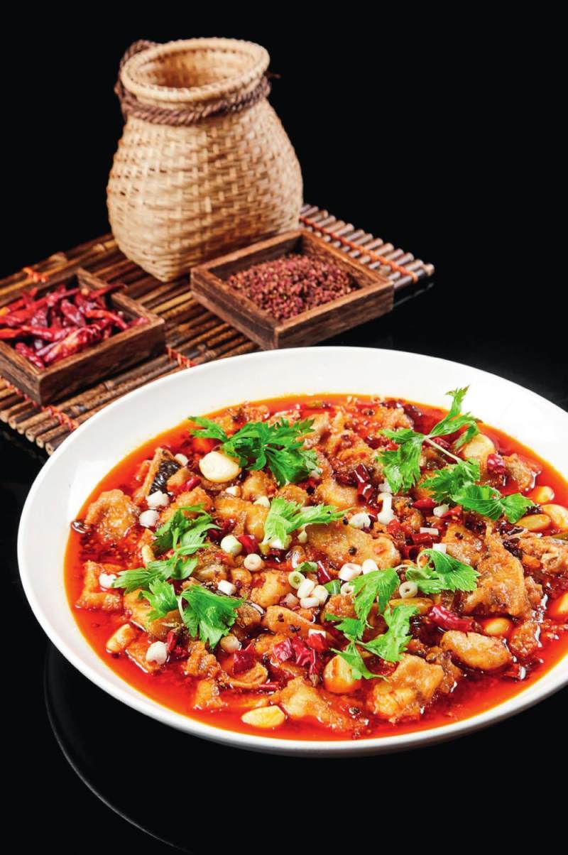 苌弘鲶鱼巫山烤鱼来凤鱼成渝路上鱼味鲜