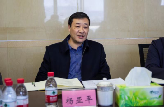 巴南副区长杨亚平调研指导大江科创城公司工作加快推进高端装备制造