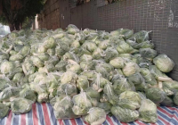 3400份新鲜的“蔬菜大礼包”免费赠送小区居民