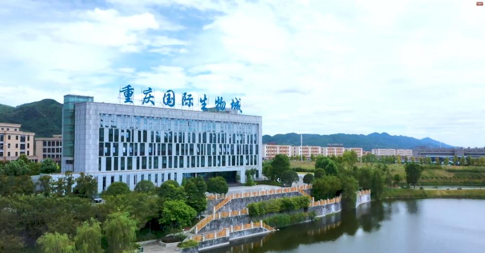 重庆生物城小学图片