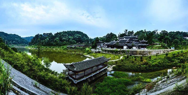 【老巴县最重庆】天星寺荷花竞相开放,婀娜多姿娇艳无比