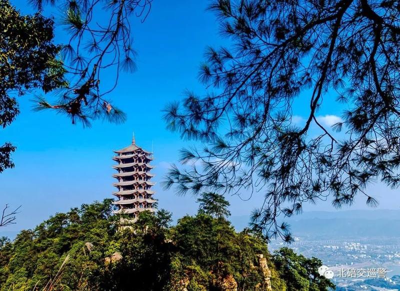 【权威发布】2019重庆北碚缙云山森林国际马