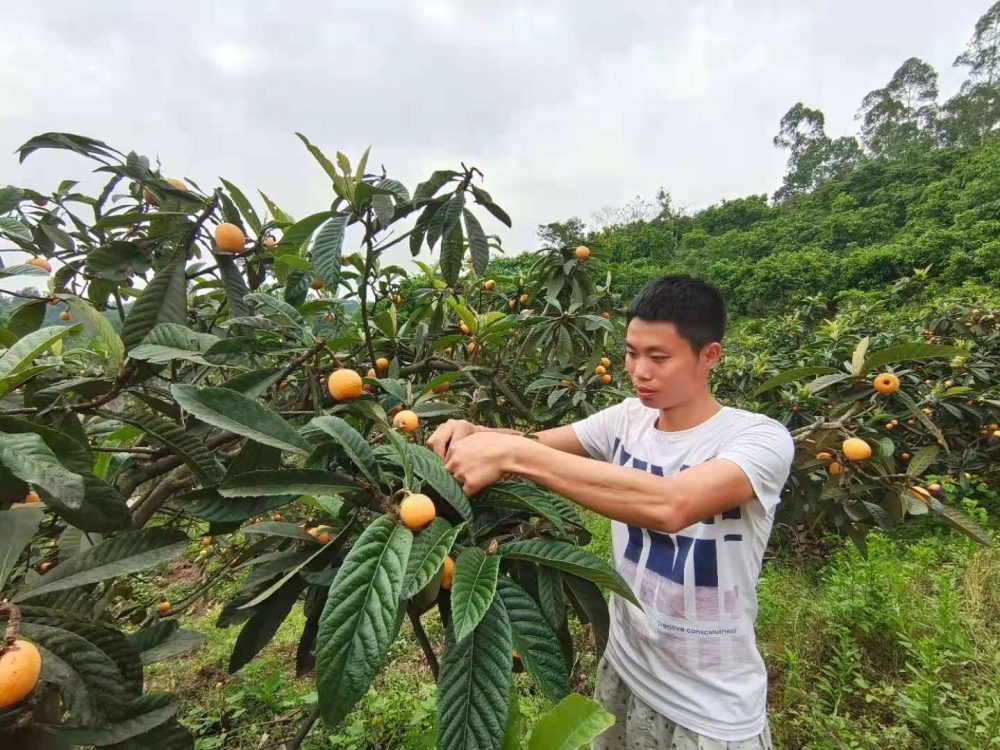 致富网商机_致富app官网下载_致富经官网