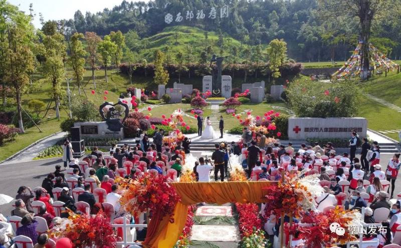 婚礼现场选在墓园,原因令人动容!