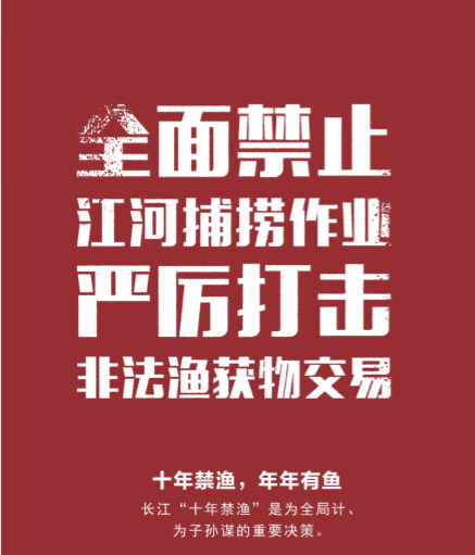 禁渔禁捕宣传资料图片