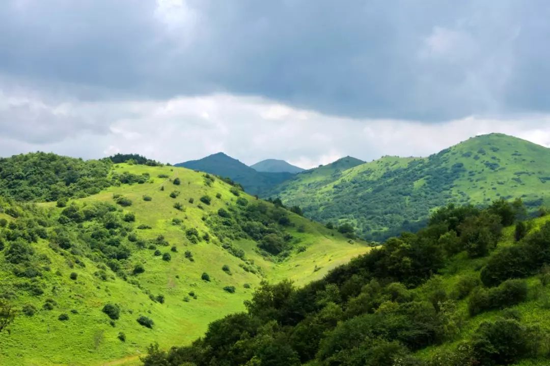 一大波,城口河鱼高山草甸美照来袭,赶紧给你的眼睛清凉一夏吧