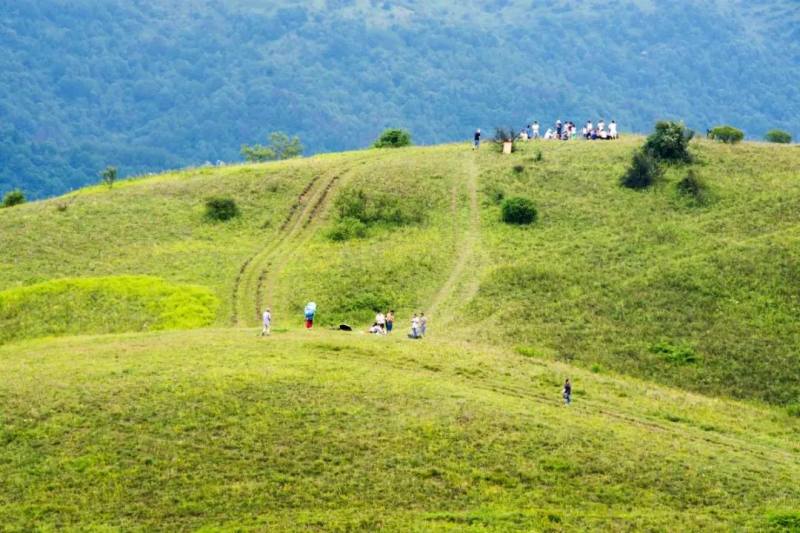 一大波,城口河鱼高山草甸美照来袭,赶紧给你的眼睛清凉一夏吧