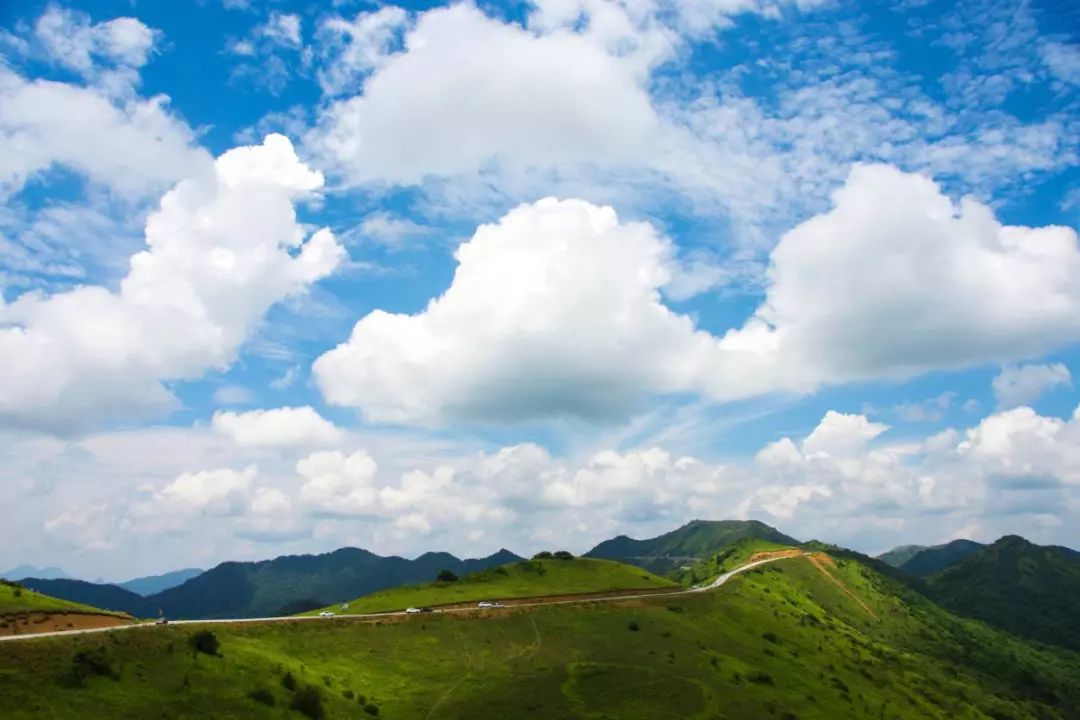 一大波,城口河鱼高山草甸美照来袭,赶紧给你的眼睛清凉一夏吧