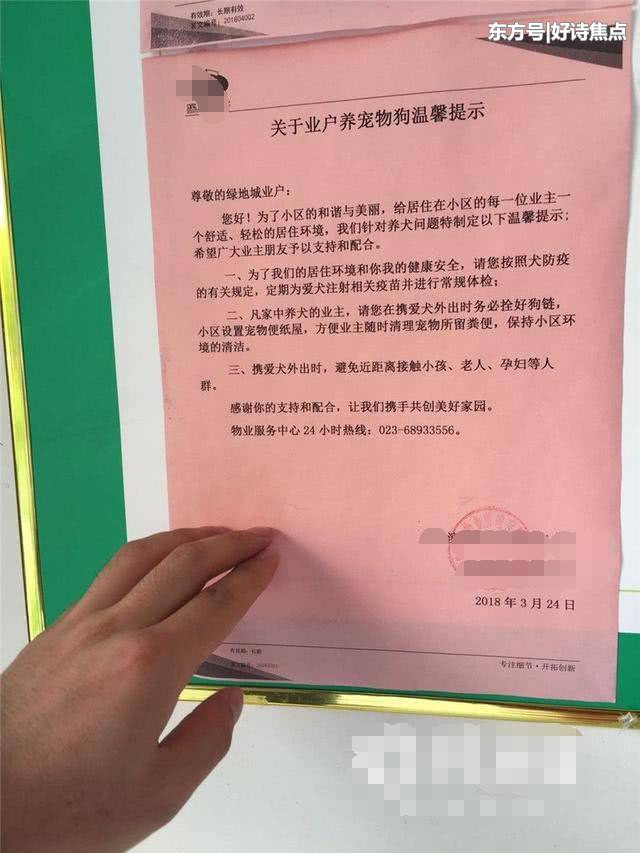 大狗未栓绳扑向男婴 父亲警告遭怒怼 怕狗住别墅去 上游新闻 汇聚向上的力量