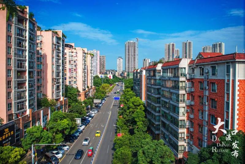 大渡口:2019年收获309个"蓝天";饮用水水源地水质达标率100% - 上游