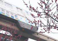 江北：“开往春天”的列车启程啦!