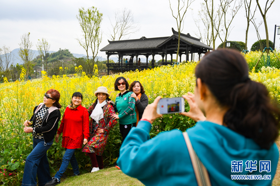 油菜花合影怎么照好看图片