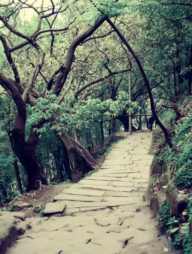 别再刷抖音了!五一小长假,到南岸来体验一次文