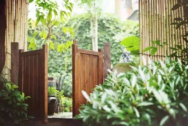 别再刷抖音了!五一小长假,到南岸来体验一次文