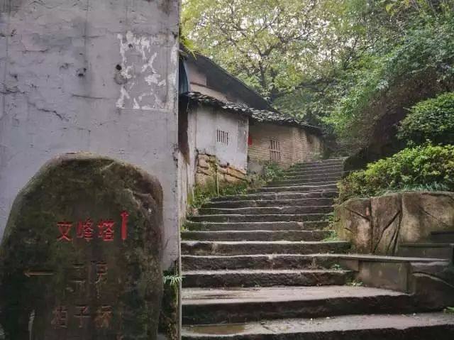 别再刷抖音了!五一小长假,到南岸来体验一次文