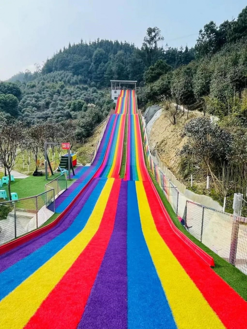 春天您好郁见有您沙坪坝区太寺垭森林公园第六届郁金香节2月18日启幕