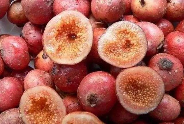 石柱的地瓜泡又熟了,你现在在哪里?