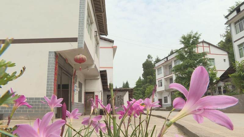 今年是打赢脱贫攻坚战的收官之年,石柱县三河镇围绕脱贫攻坚各项目标