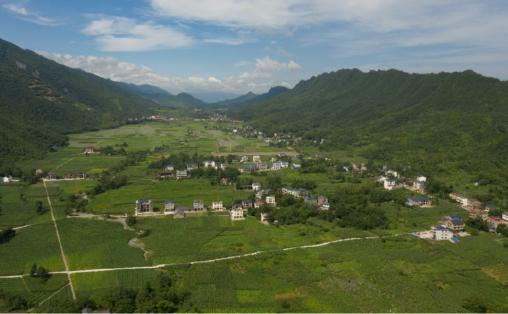 石柱三星乡:打造"多彩田园"美景