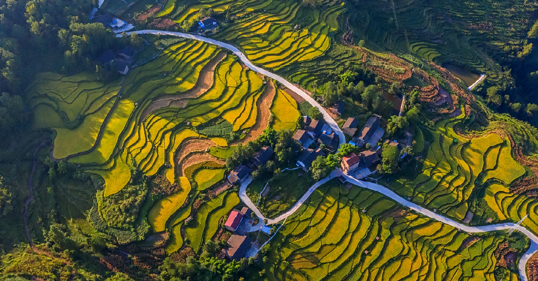 石柱三星乡:打造"多彩田园"美景